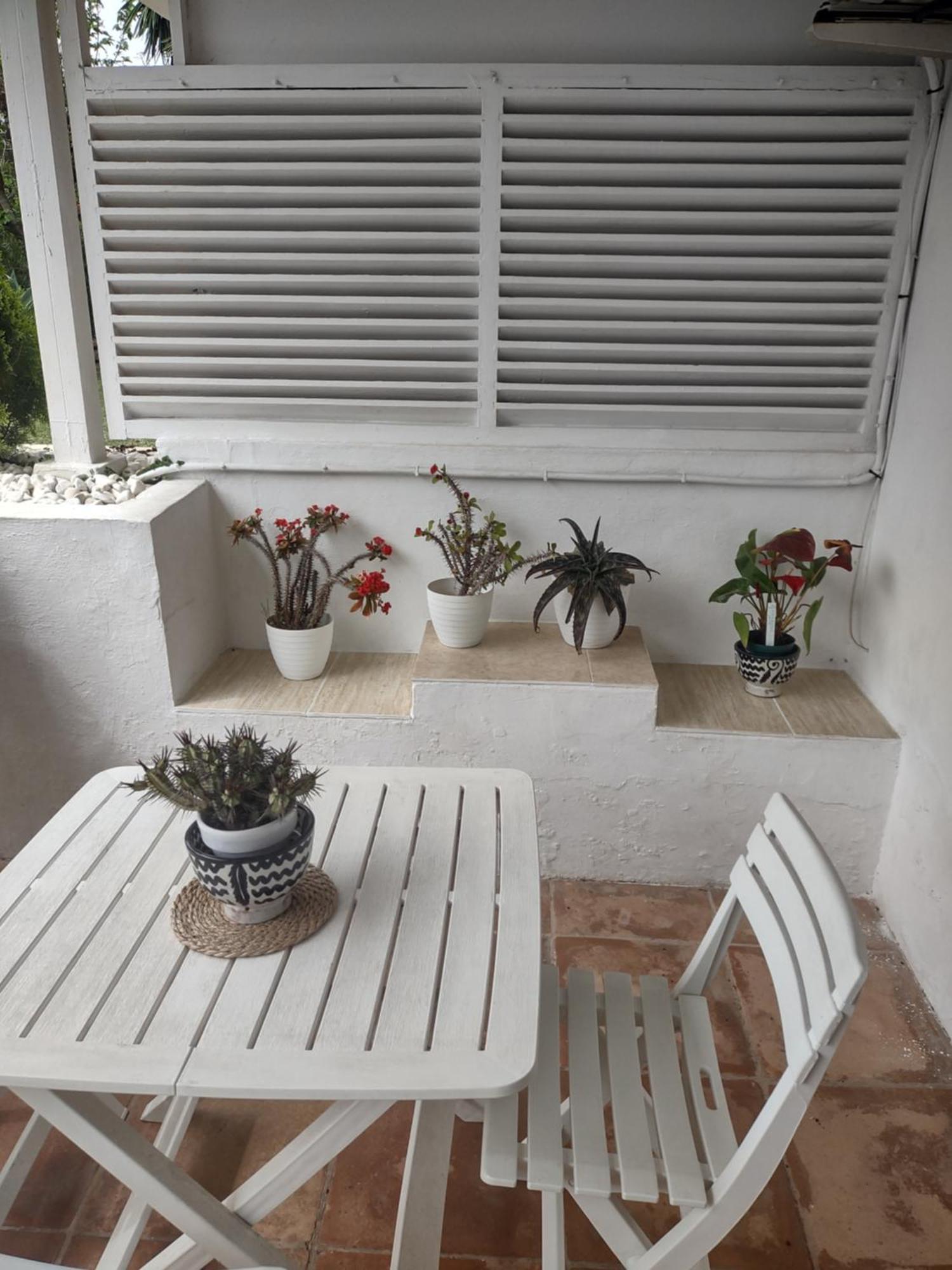 Puerto Banus Apartment Near Beachfront, Big Sunny Terrace, Pool, Tennis Court, Parking & Movies Projector Marbella Exterior foto